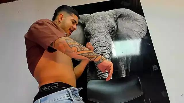 StripChat king_falconer is Freechat king_falconer — Show flex muscles