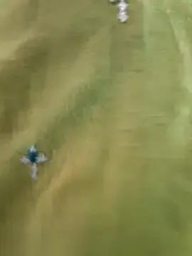 StripChat Miss_lellela is Freechat Miss_lellela — ASS SHOW